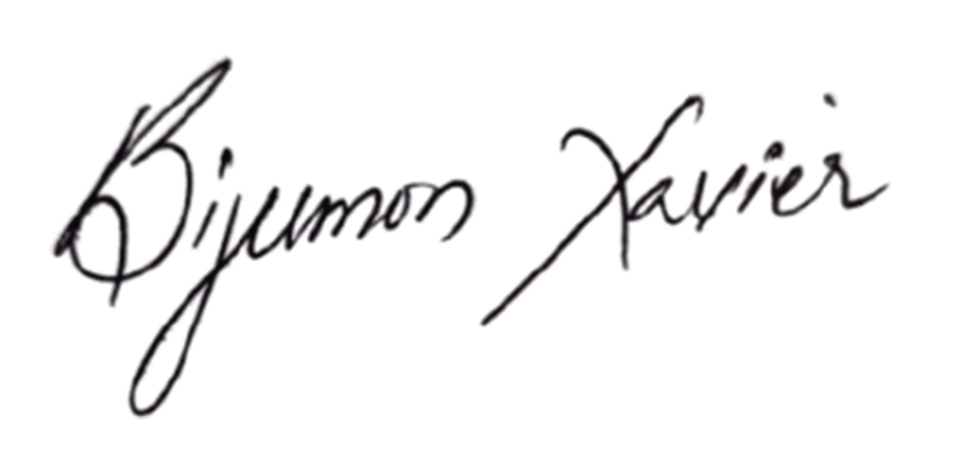 Signature of the best digital marketing expert in kerala sign